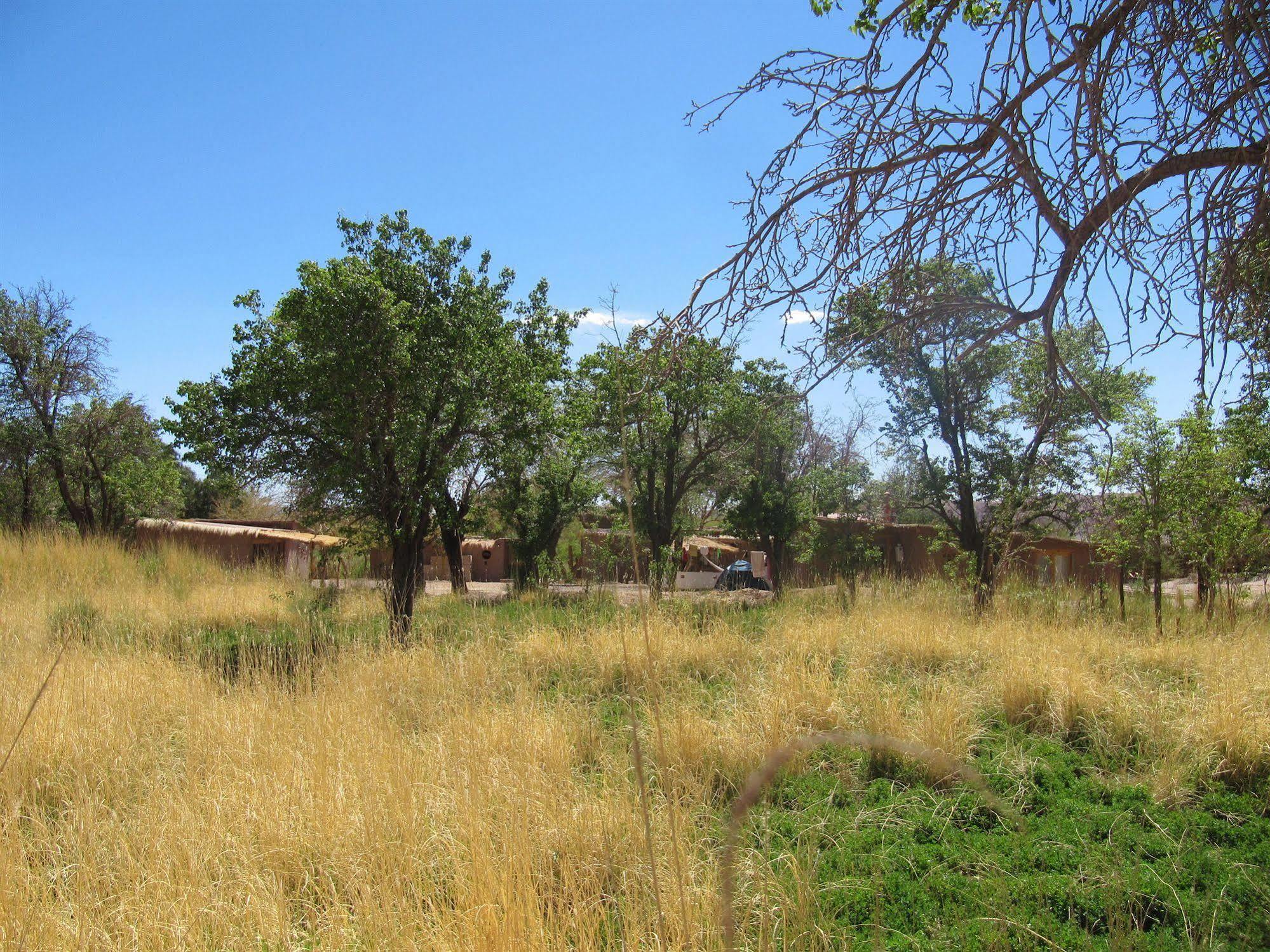 Rancho Quitapenas Bungalows Сан Педро де Атакама Екстериор снимка